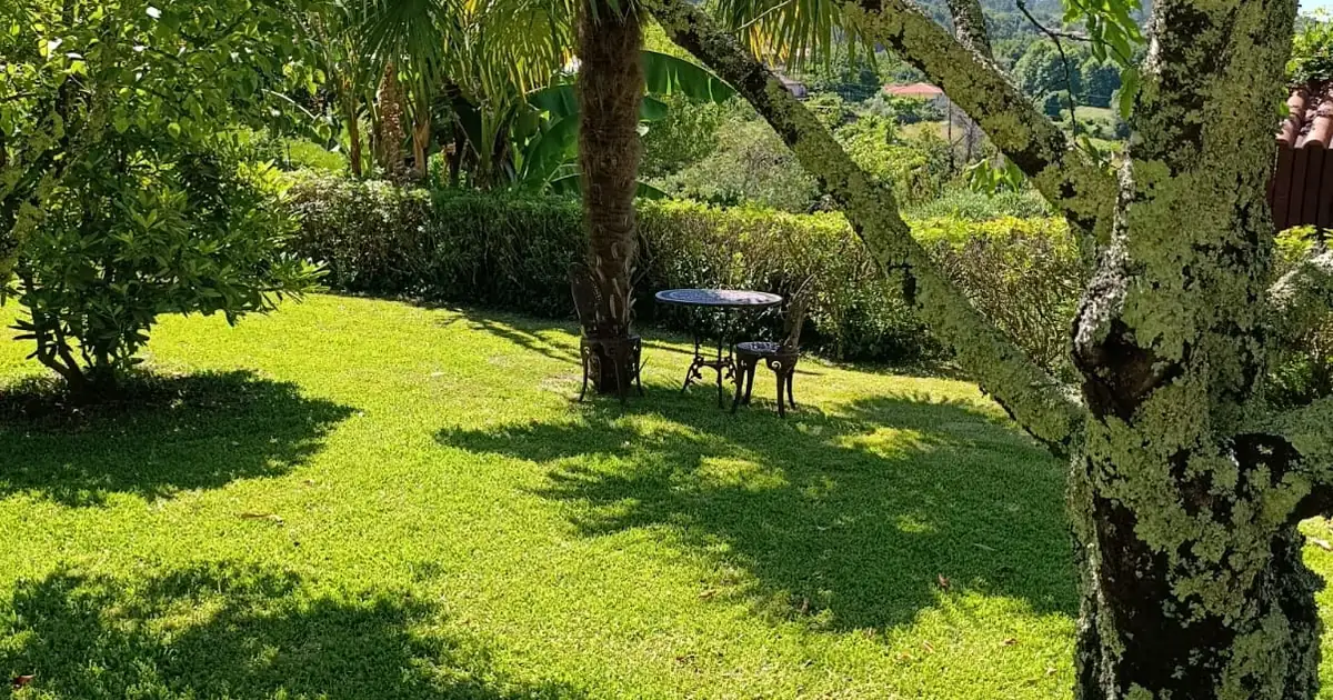 Le jardin de Casa Lotus Azul au petit matin, une table sous les arbres
