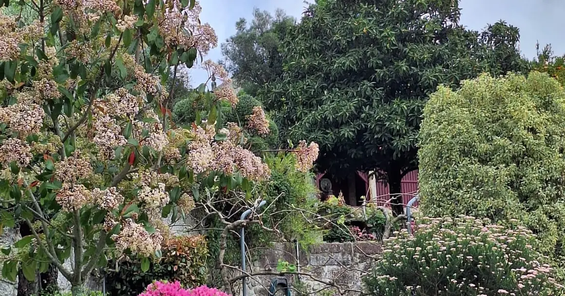 El jardín de Casa Lotus Azul, en el Miño