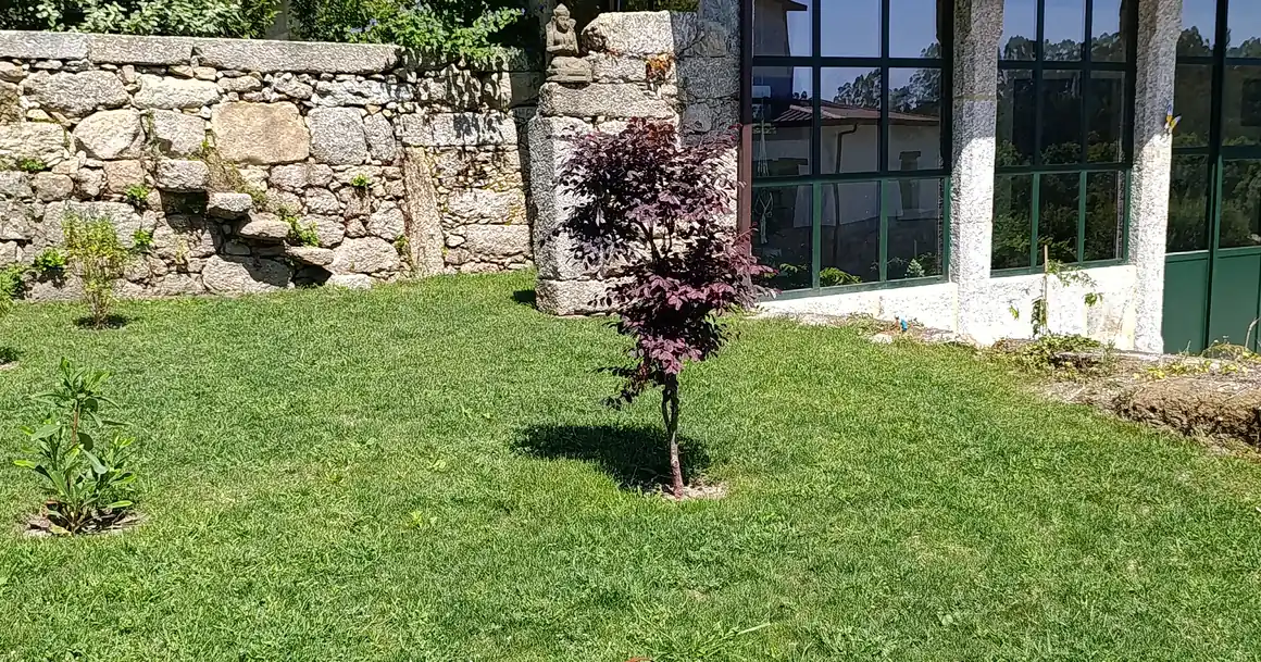 El césped del jardín de Casa Lotus Azul